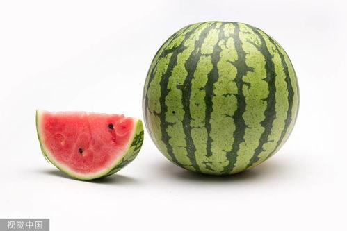 热门大瓜 瓜瓜基地,瓜瓜基地背后的惊人真相